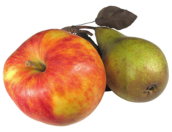 Frutas e vegetais duros ajudam a limpar os dentes da placa bacteriana.