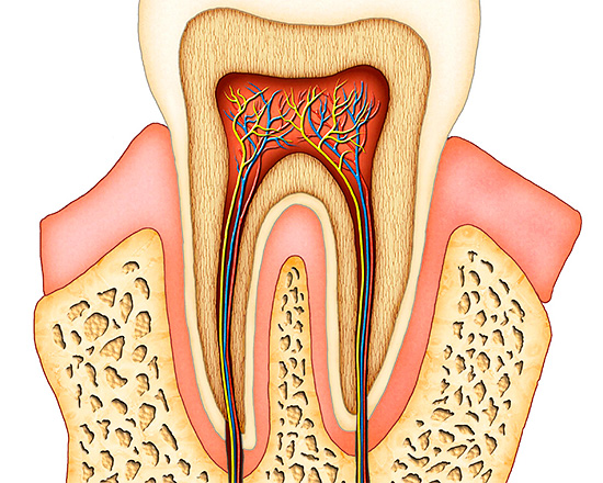 Muitas vezes, a dor pode ocorrer devido a processos inflamatórios na polpa do dente