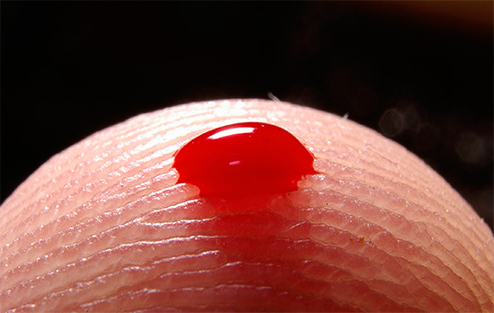 Se o sangue do orifício do dente não parar por muito tempo, em caso de inércia adicional, o estado geral de uma pessoa pode piorar visivelmente ...