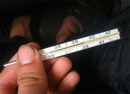 A temperature superiori a 38 gradi, può essere abbattuto con idonei farmaci antipiretici.