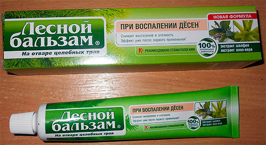 Creme dental Forest Balm para doenças gengivais