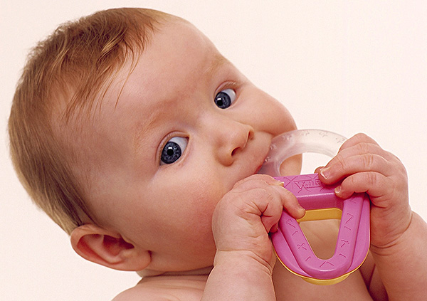 Para facilitar a dentição, você pode usar estimulantes de dentição de borracha ou silicone (roedores).