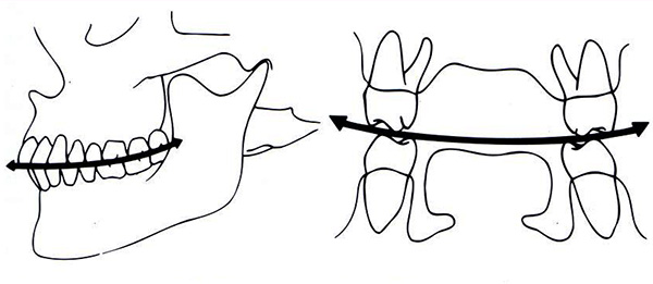 Curve occlusali